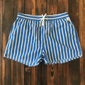 Dwight | Men's Drawstring Vertical Stripe Swimming Shorts