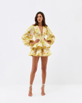 Maisie | Women's Long Sleeve Ruffled V Neck Mini Dress