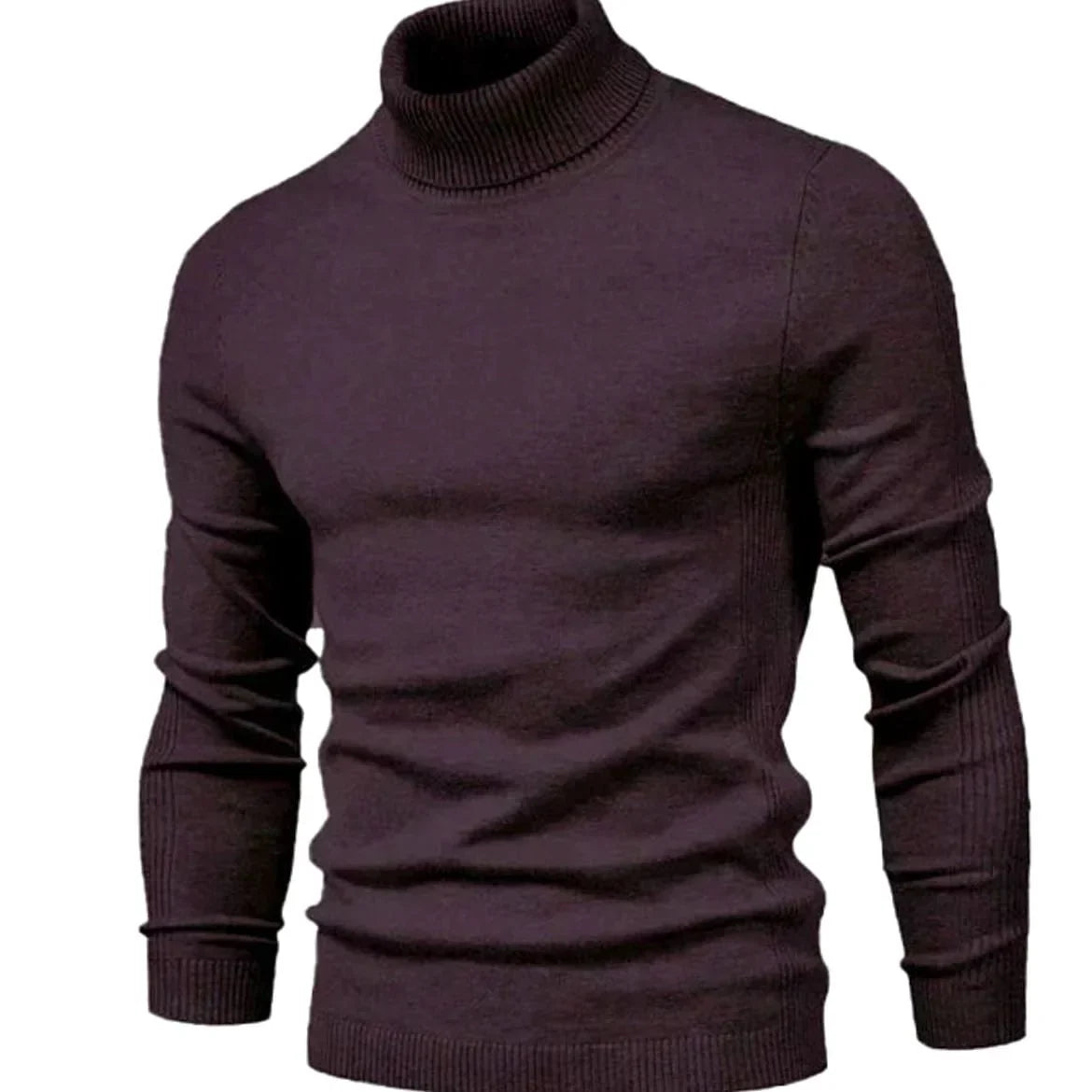 Men's Slim Fit Knit Turtleneck Sweater