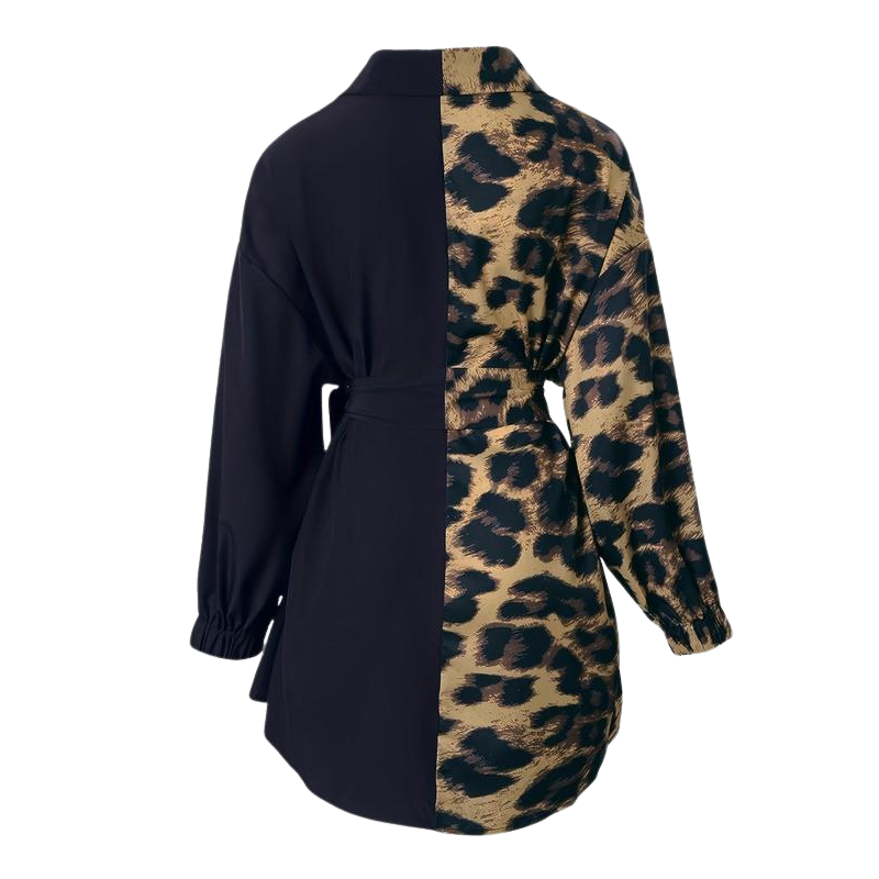 Women's Asymmetrical Split Button Dress